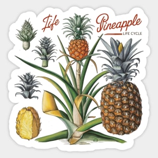 Vintage Pineapple Botanical Sticker